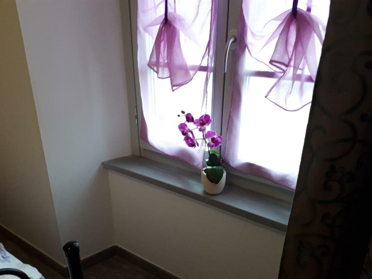 Oro Rosso Rooms Locazione Turistica Arezzo Exterior photo
